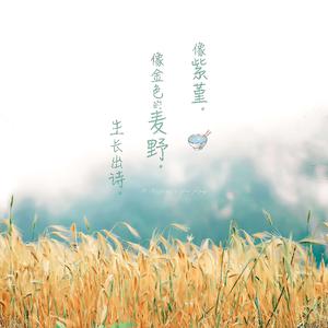 神宫寺和叔父才知最绝项
