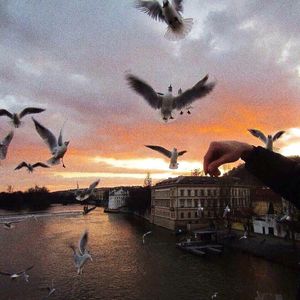 神宫寺和叔父才知最绝项
