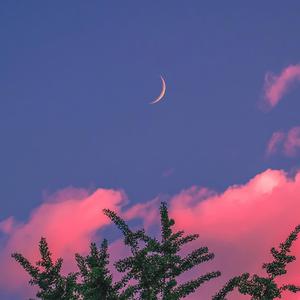 欧美偷拍97色伦综合
