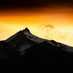 神宫寺和叔父才知最绝项
