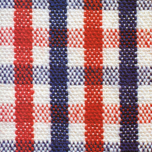 欧美黑大粗硬毛片免费视频A片
