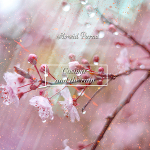 孟狐狸图片大全高清
